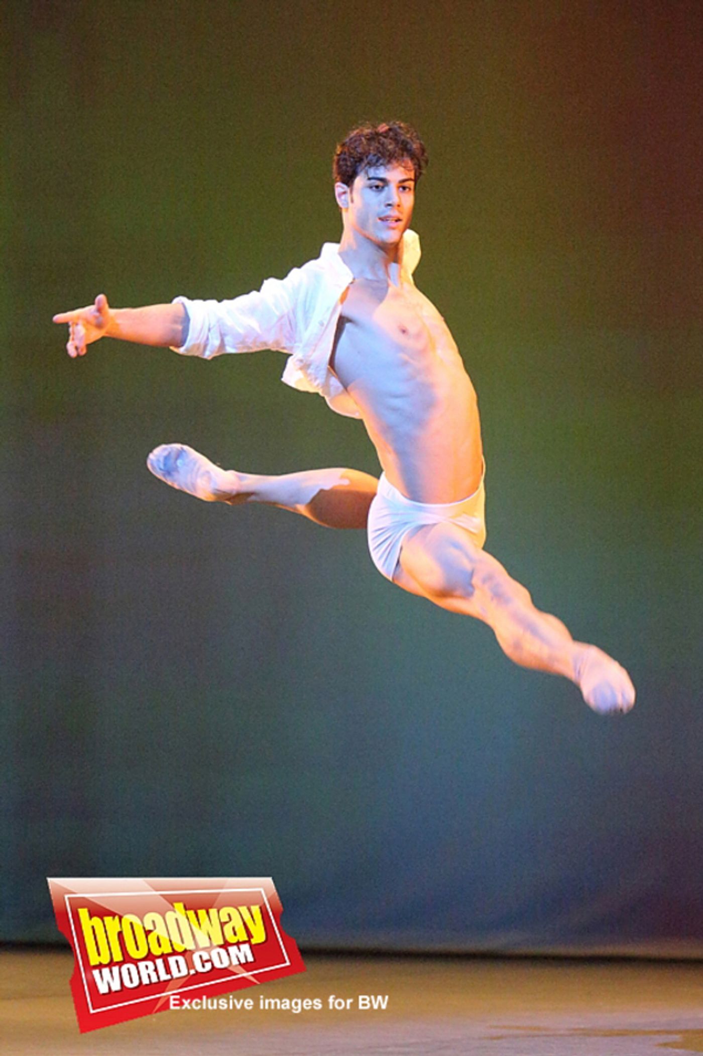 Photo Exclusive: 2017 RUSSIAN BALLET ICONS Gala  Image