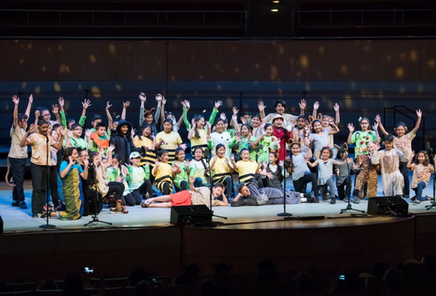 Photo Flash: Segerstrom Center Salutes Disney Musicals in Schools Student Share Celebration  Image