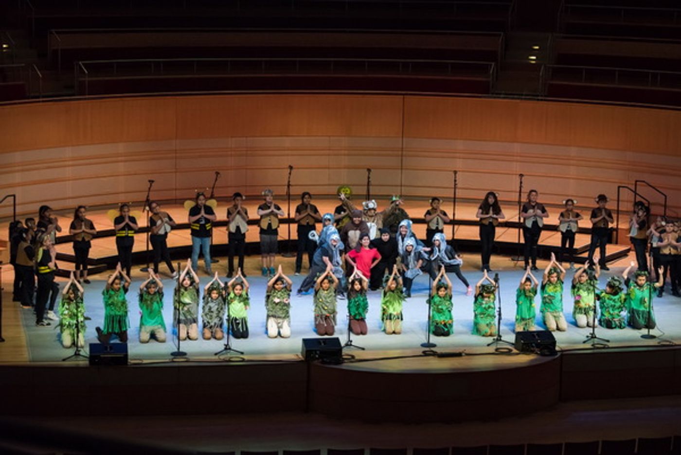 Photo Flash: Segerstrom Center Salutes Disney Musicals in Schools Student Share Celebration  Image