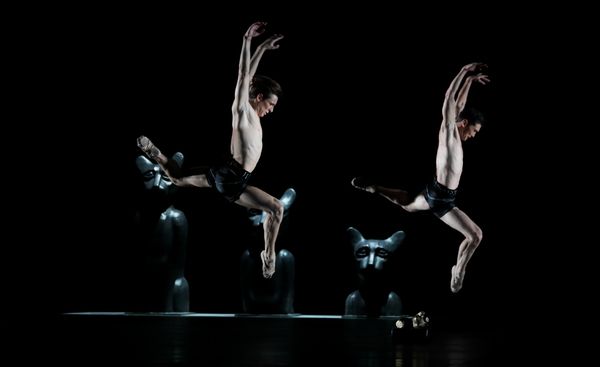 Rhys Kosakowski and Charles-Louis Yoshiyama Photo