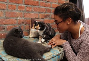 Ariana DeBose @ BroadwayWorld Ariana DeBose Photo