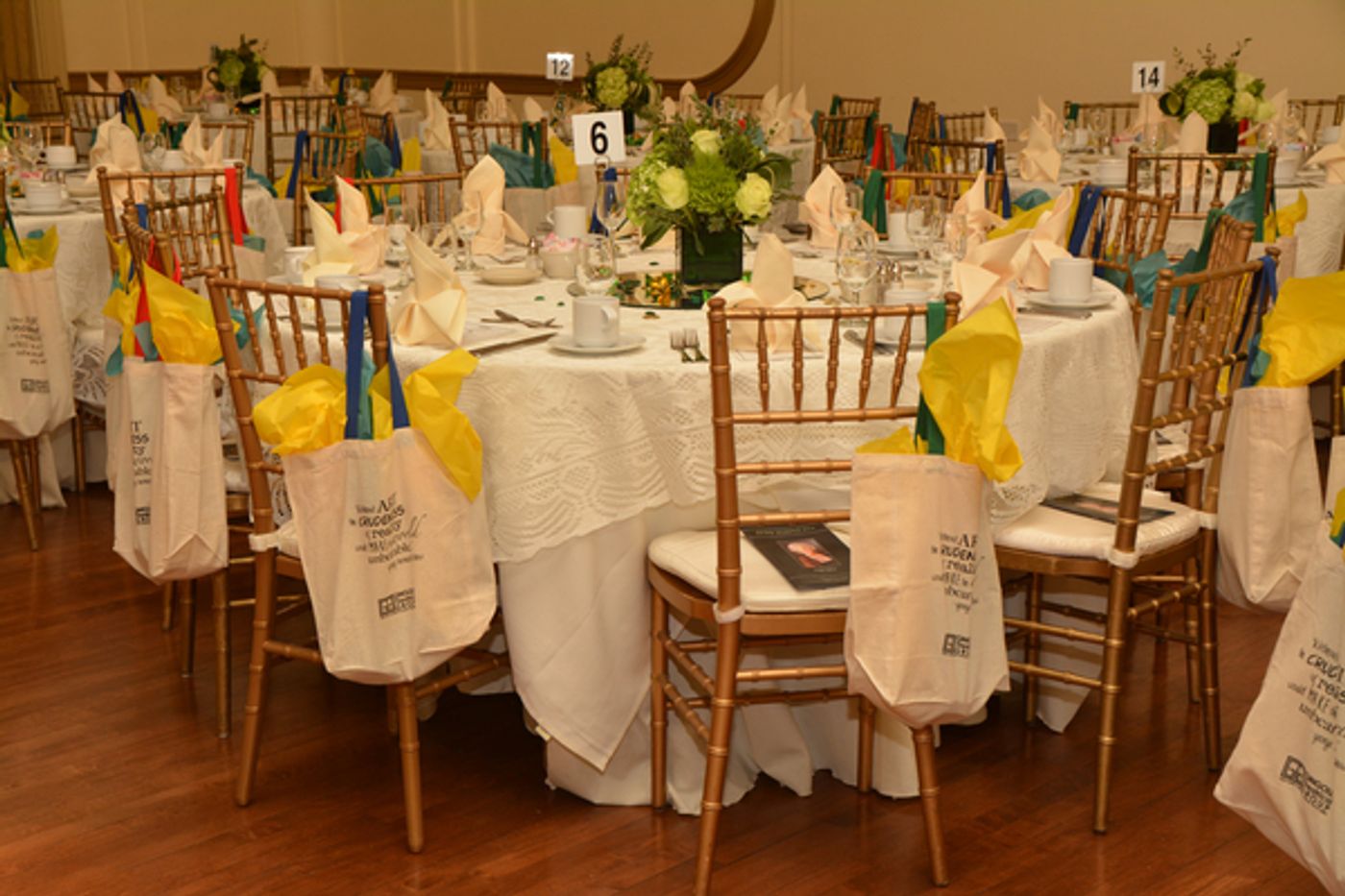 Photo Coverage: Gingold Theatrical Group's GOLDEN SHAMROCK GALA Honors Tyne Daly  Image