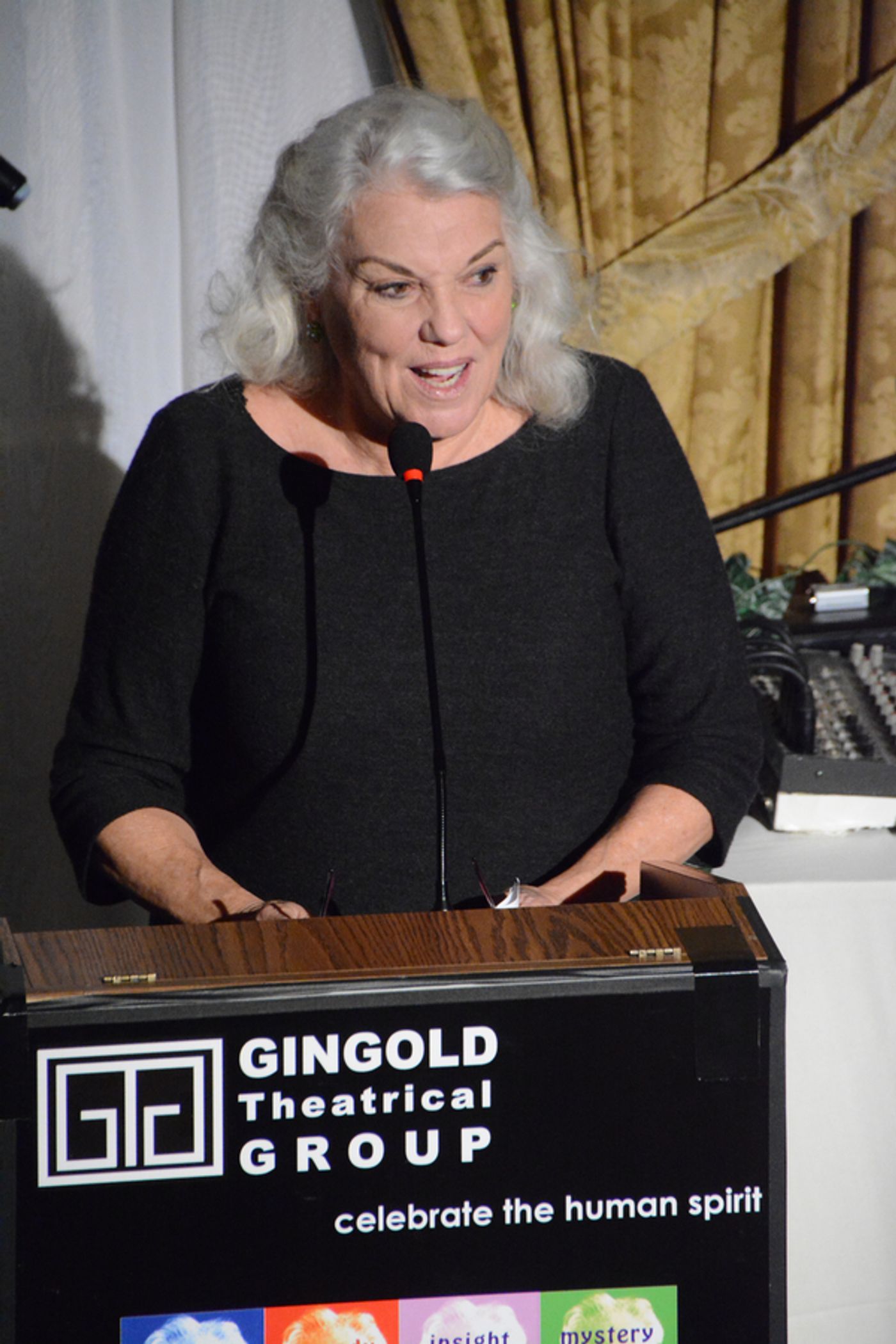 Photo Coverage: Gingold Theatrical Group's GOLDEN SHAMROCK GALA Honors Tyne Daly  Image