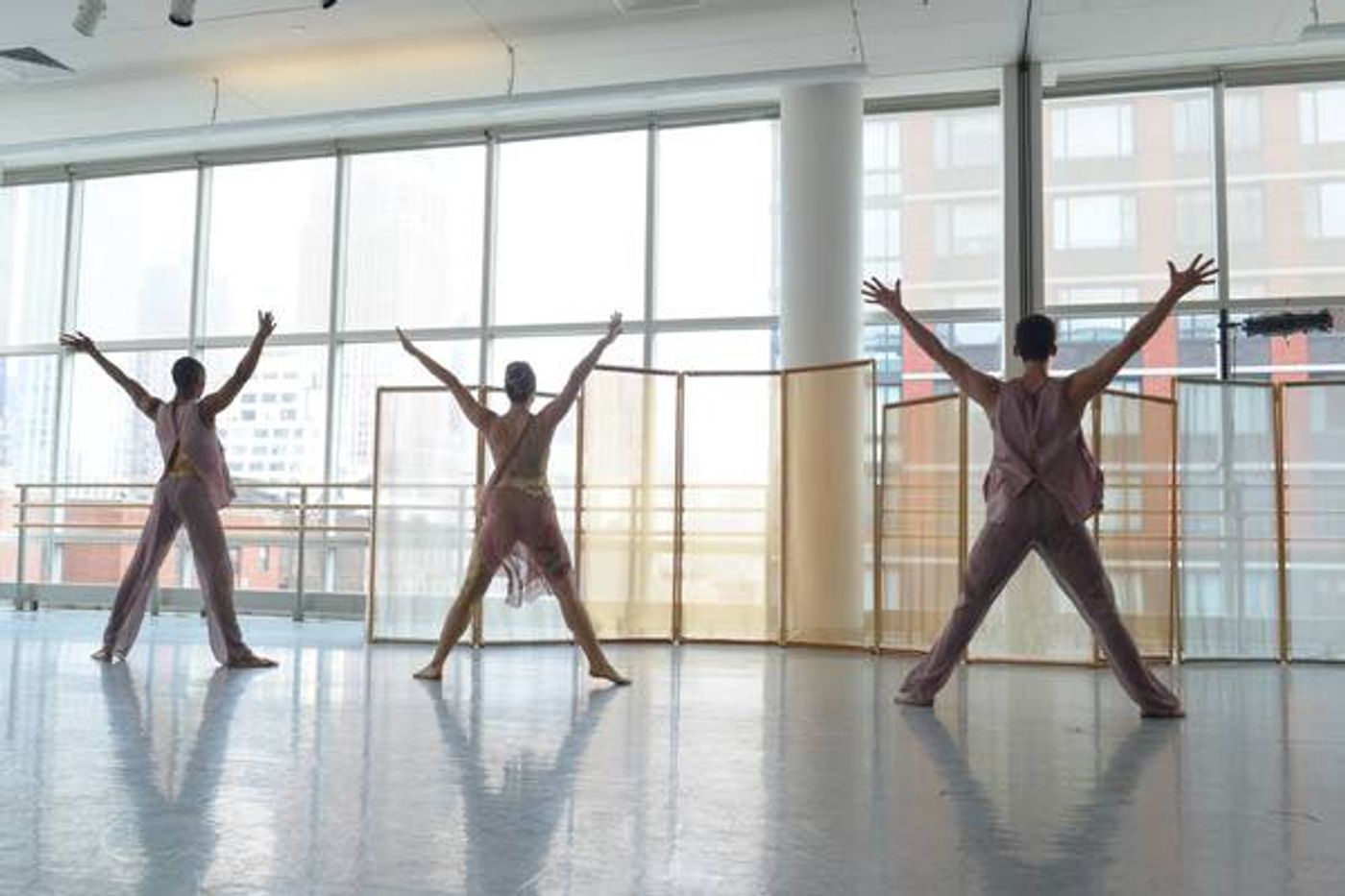 Photo Flash: Amanda Selwyn Dance Theatre Presents Annual WHITE NIGHT Gala Photo Flash: Amanda Selwyn Dance Theatre Presents Annual WHITE NIGHT Gala Image