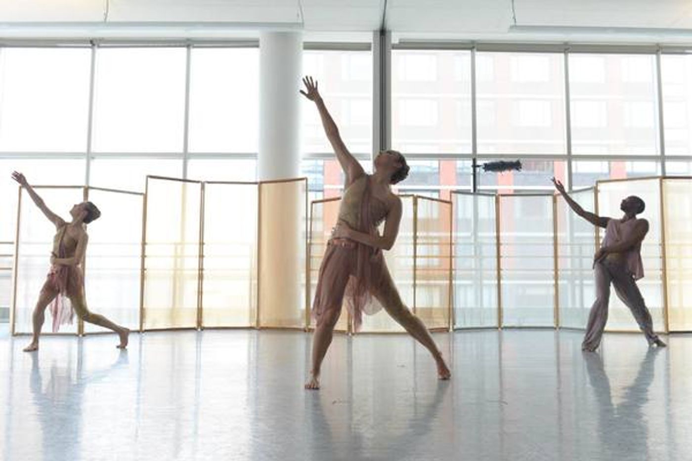 Photo Flash: Amanda Selwyn Dance Theatre Presents Annual WHITE NIGHT Gala Photo Flash: Amanda Selwyn Dance Theatre Presents Annual WHITE NIGHT Gala Image