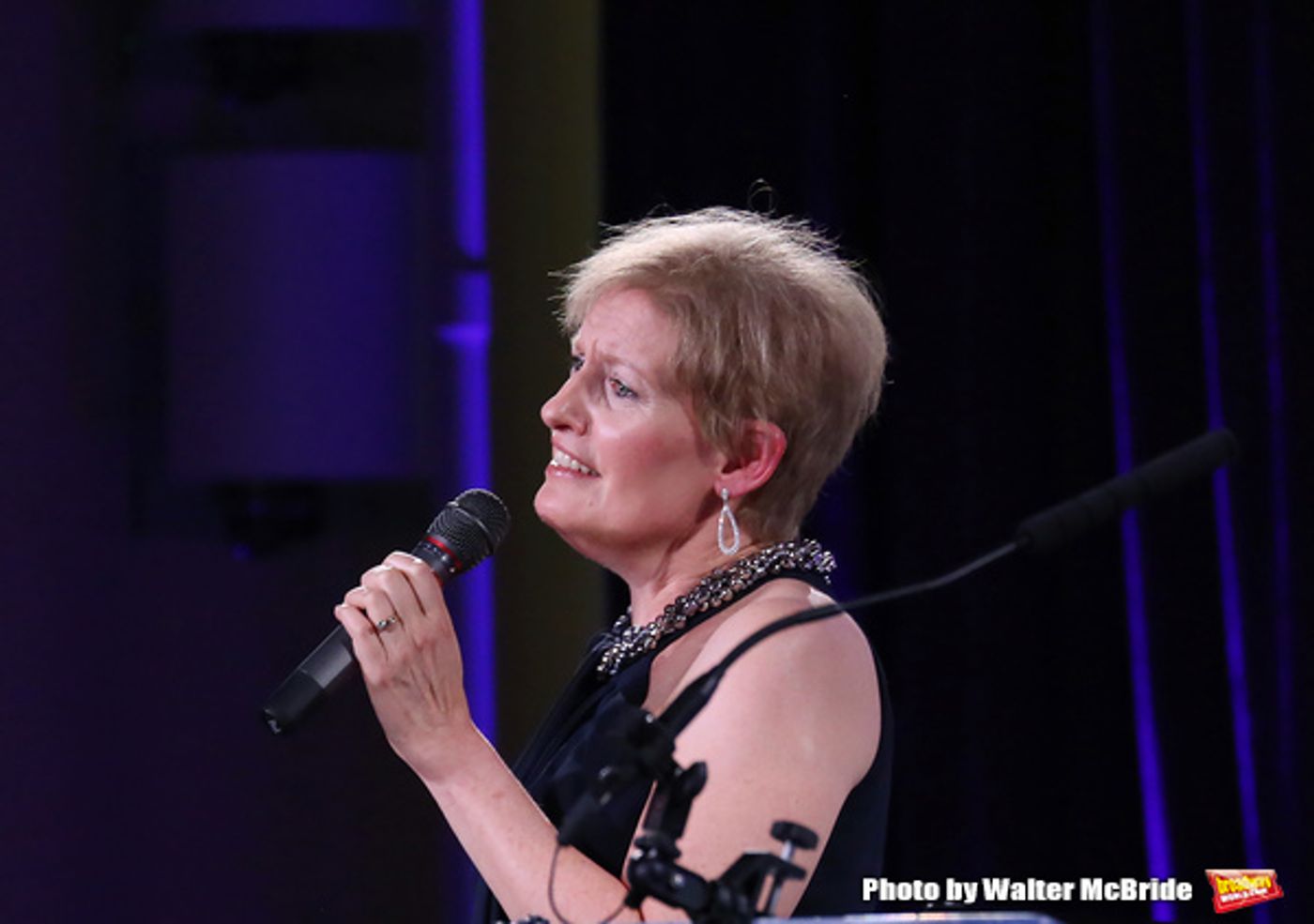 Photo Coverage: Signature Theatre Honors Cameron Mackintosh with Stephen Sondheim Award  Image