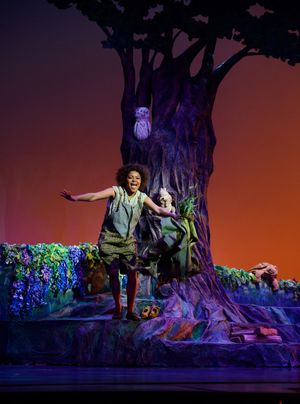 India S. Tyree @ BroadwayWorld India S. Tyree Photo