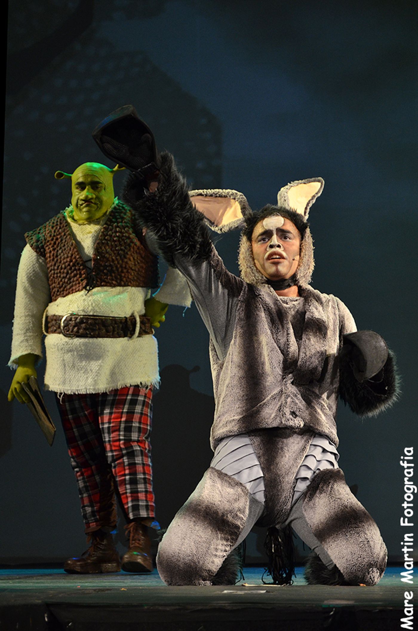 BWW Preview: SHREK: O MUSICAL Returns to Sao Paulo For a New Season  Image