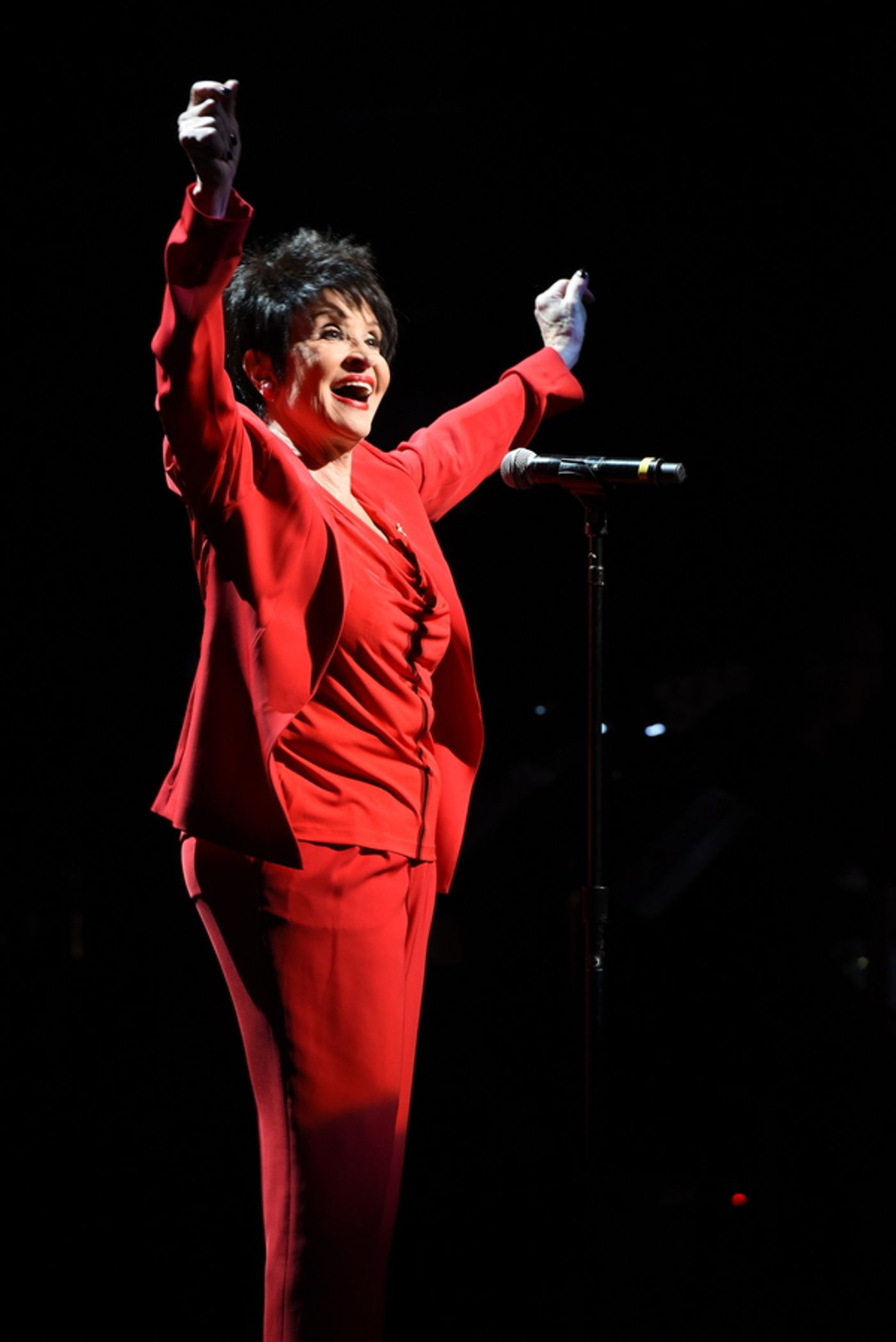 Photo Flash: CONCERT FOR AMERICA Stands Up and Sings Out in Chicago  Image