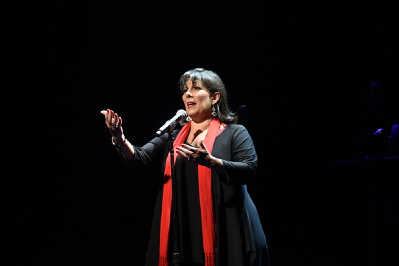 Photo Flash: CONCERT FOR AMERICA Stands Up and Sings Out in Chicago  Image