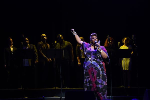 Photos: CONCERT FOR AMERICA Stands Up and Sings Out in Chicago — photo 14 of 23