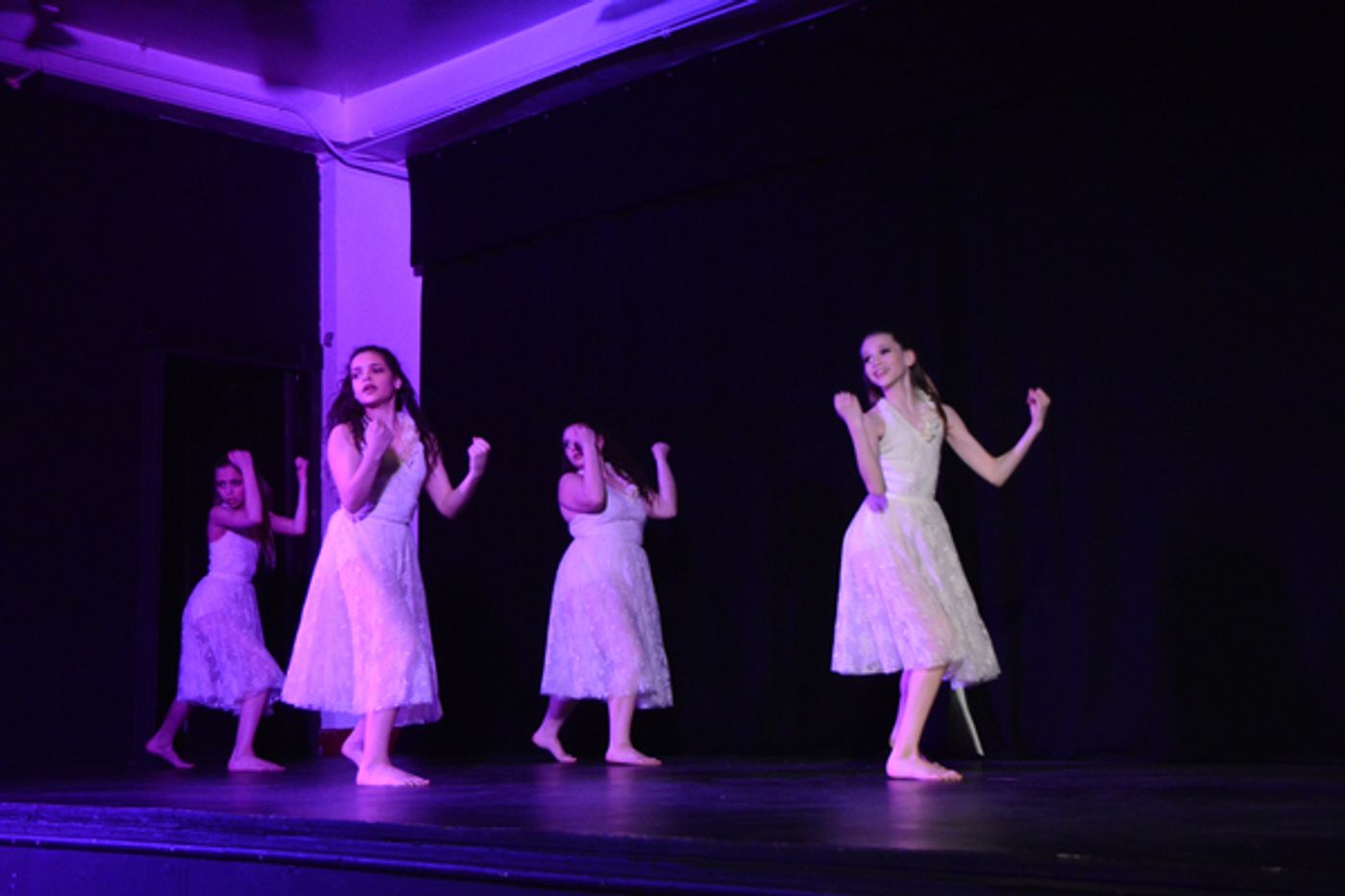 Photo Coverage: Little by Little's DE NOVO Showcases Young Talent and Raises Money  Image