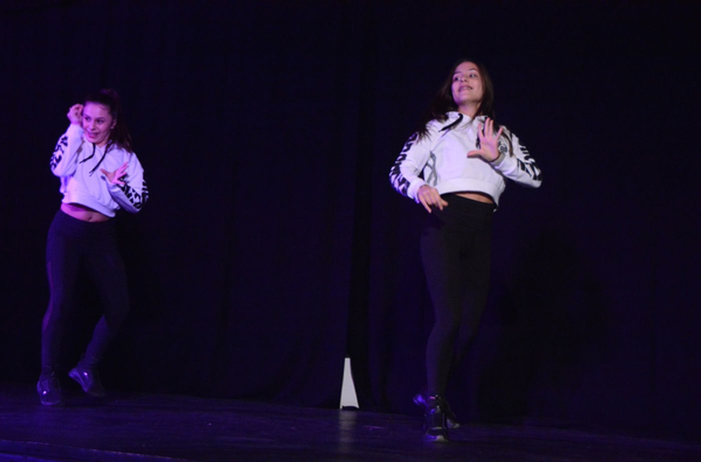 Photo Coverage: Little by Little's DE NOVO Showcases Young Talent and Raises Money  Image