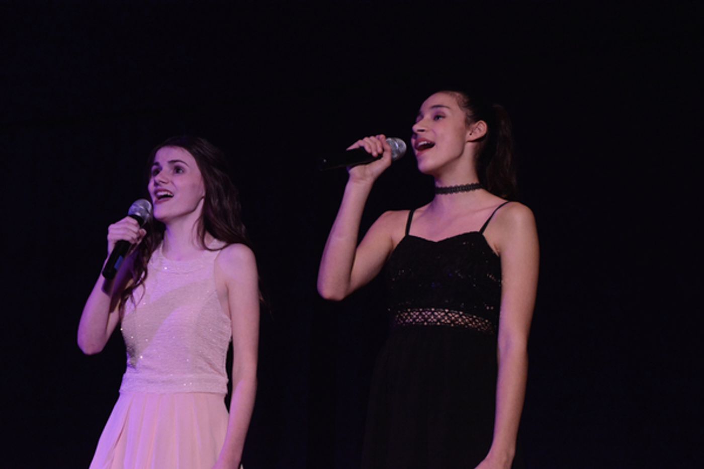 Photo Coverage: Little by Little's DE NOVO Showcases Young Talent and Raises Money  Image