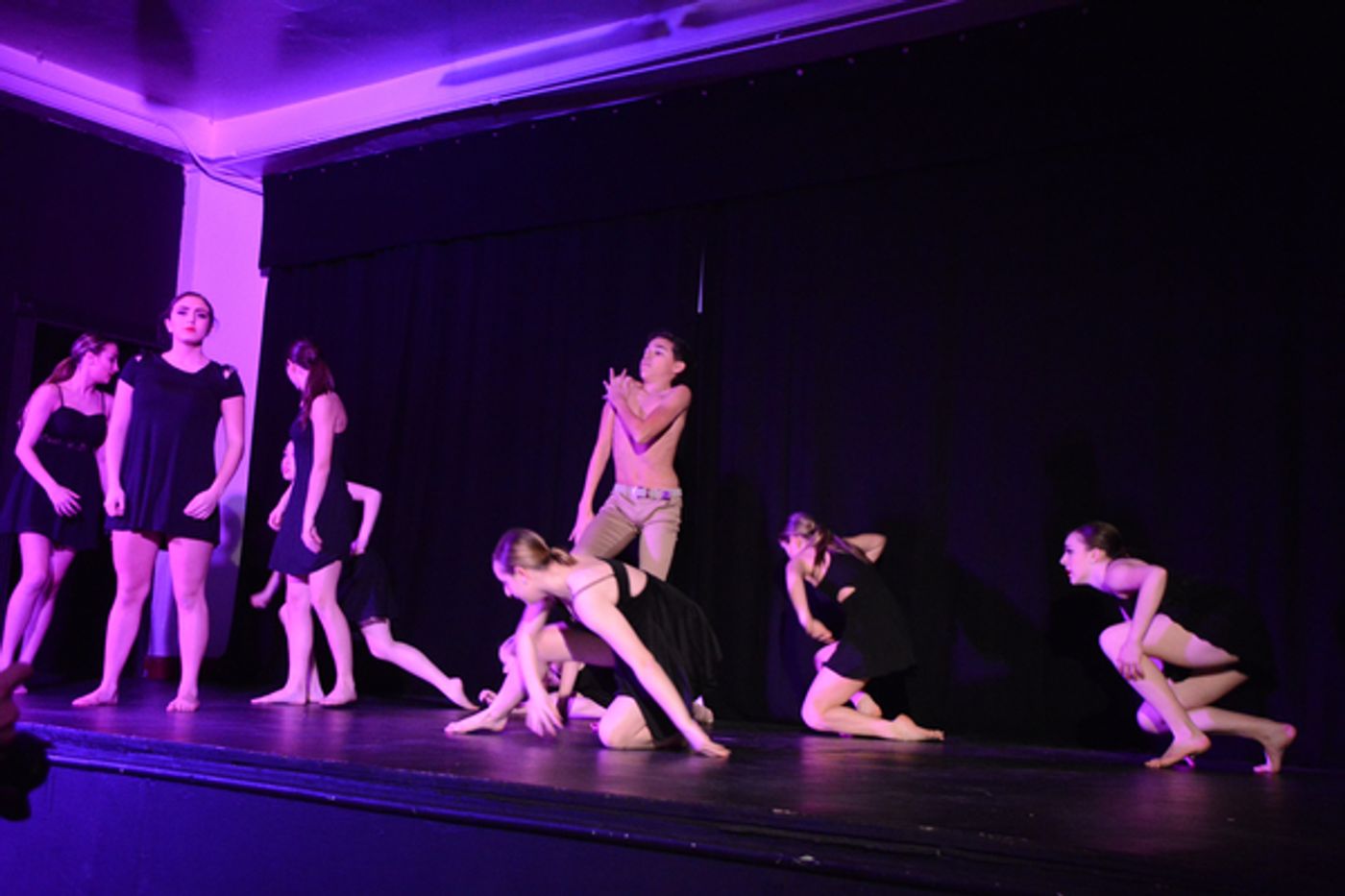 Photo Coverage: Little by Little's DE NOVO Showcases Young Talent and Raises Money  Image