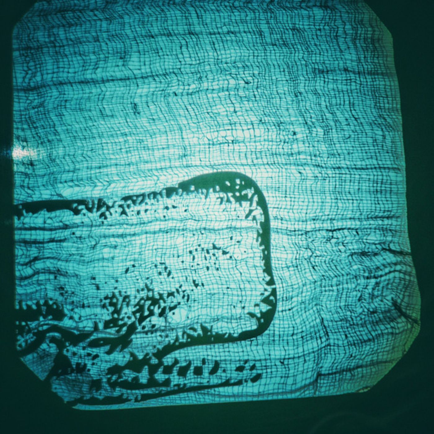 Photo Flash: First Look at WHALES by Hit The Lights! Theater Co.  Image