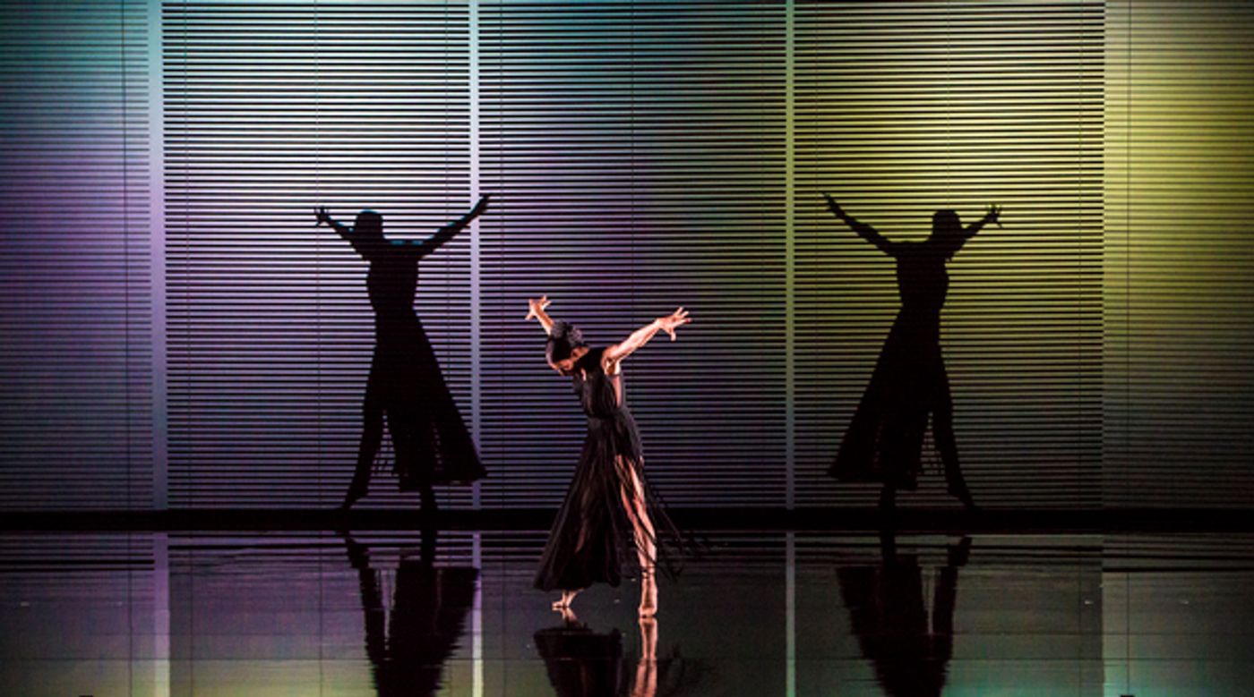 Photo Flash: Blanca Li's GODDESSES AND DEMONESSES  Image