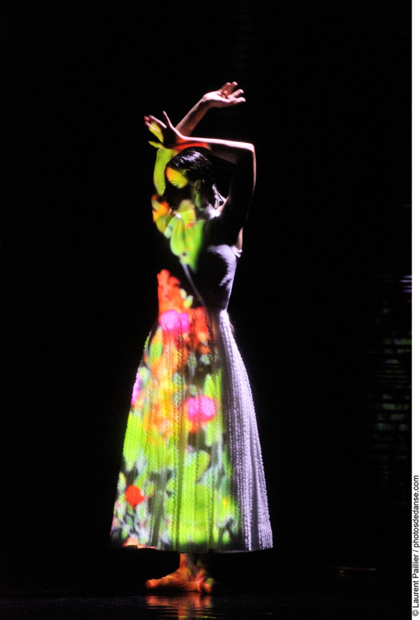 Photo Flash: Blanca Li's GODDESSES AND DEMONESSES  Image