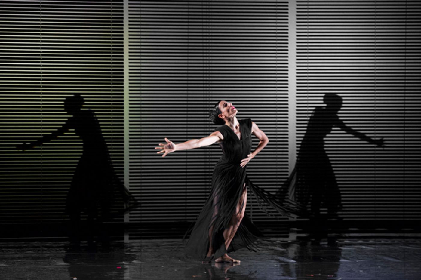 Photo Flash: Blanca Li's GODDESSES AND DEMONESSES  Image