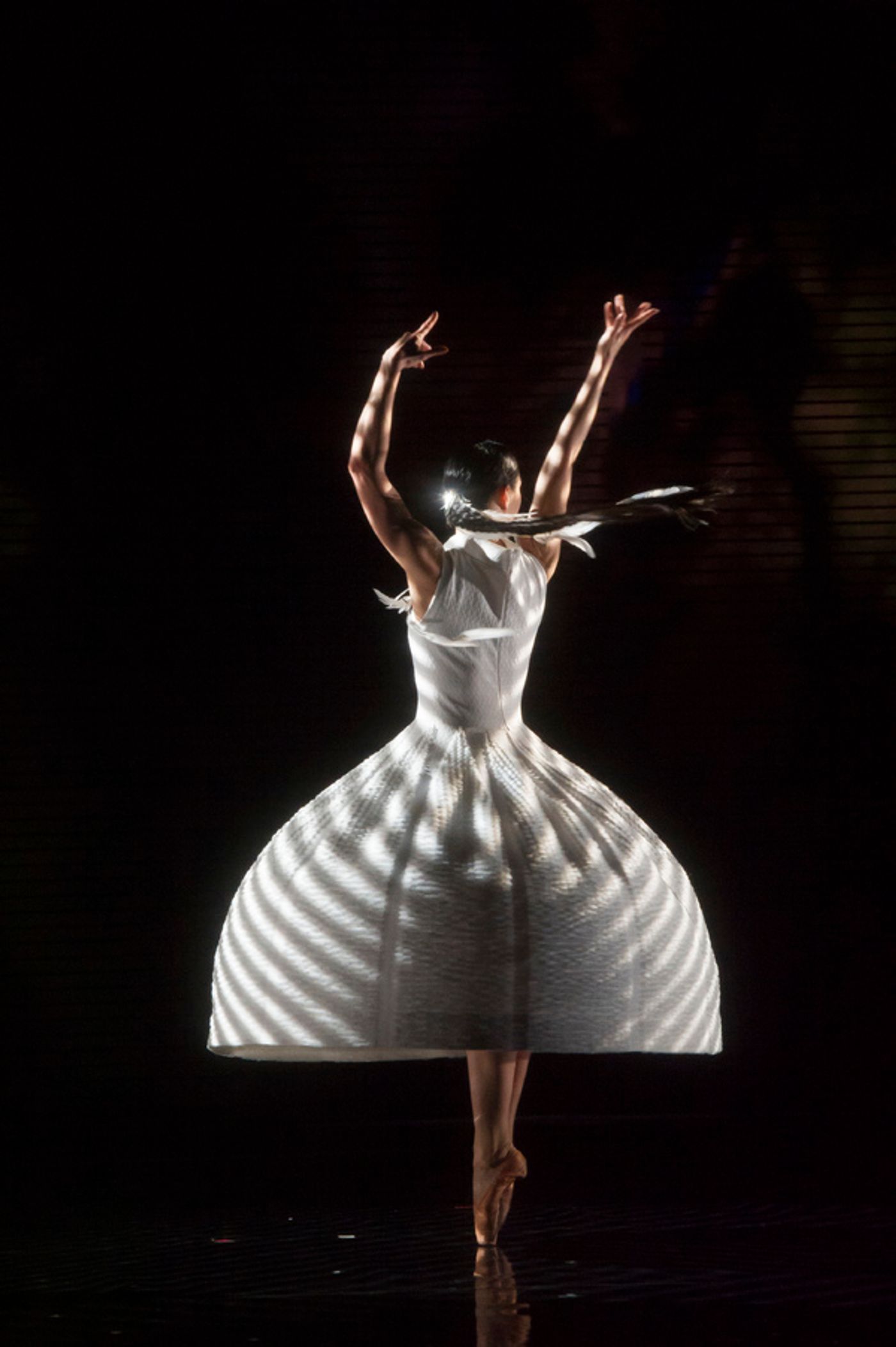 Photo Flash: Blanca Li's GODDESSES AND DEMONESSES  Image