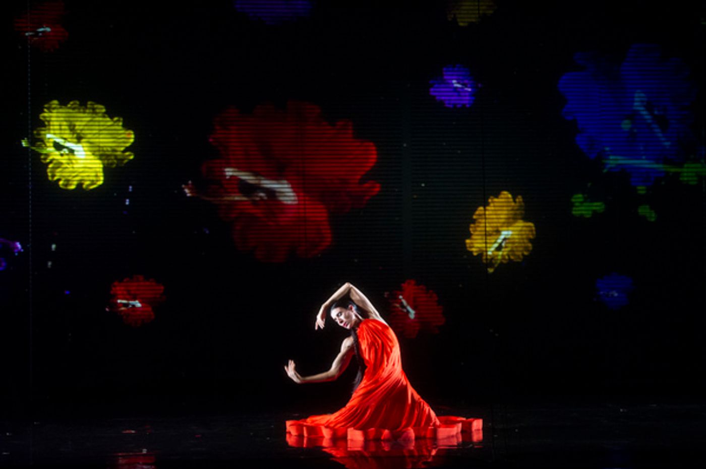 Photo Flash: Blanca Li's GODDESSES AND DEMONESSES  Image