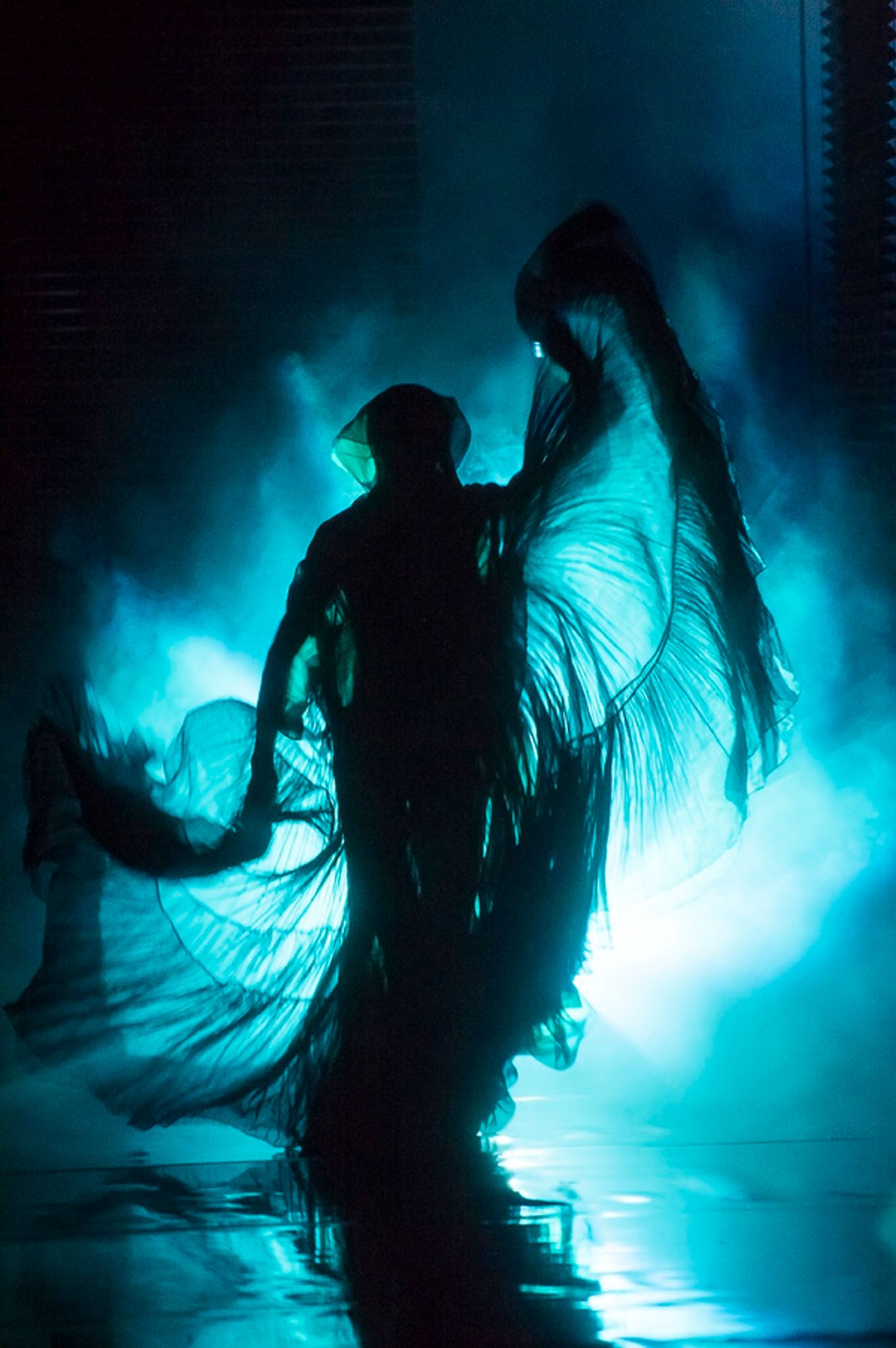 Photo Flash: Blanca Li's GODDESSES AND DEMONESSES  Image