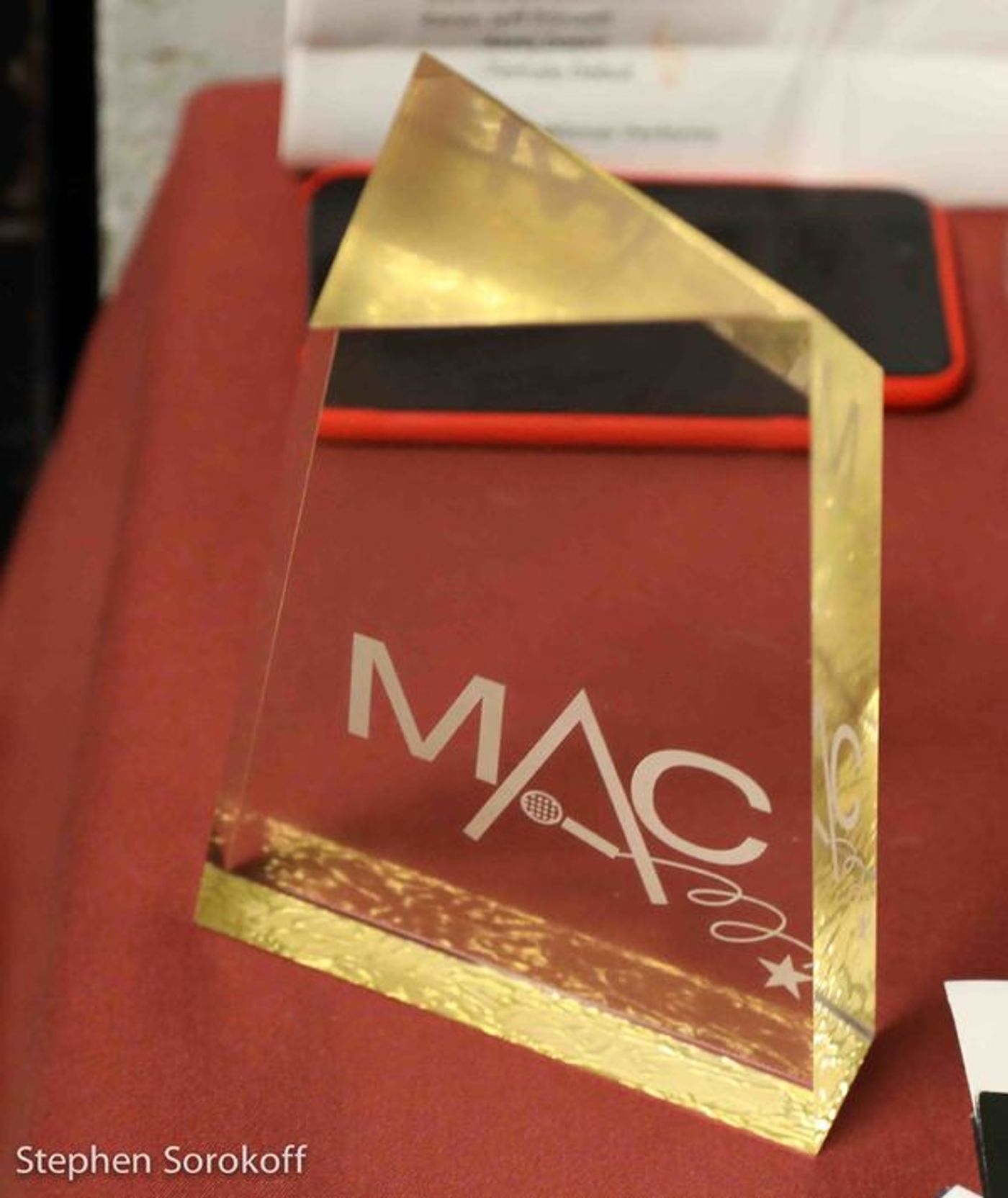 Photo Coverage: Sandra Bernhard Presents MAC'S Lifetime Achievement Award To Michele Lee  Image