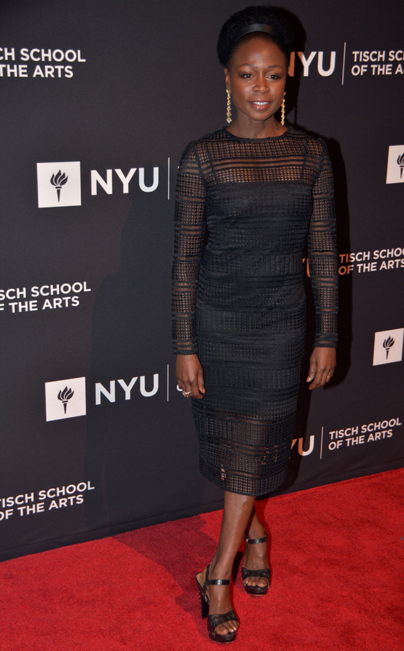 Photo Coverage: WALKING DEAD and MOONLIGHT Stars Honored at 2017 Tisch Gala  Image