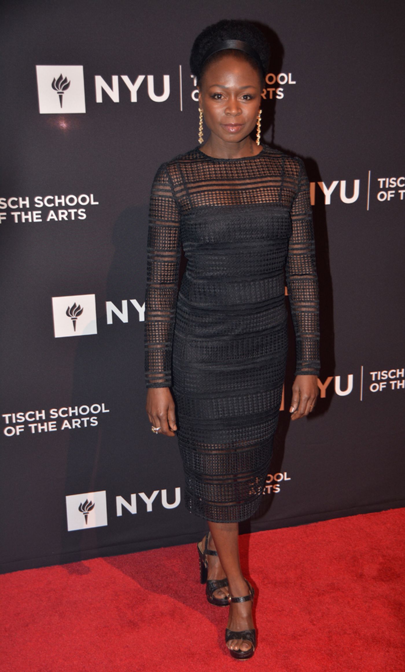 Photo Coverage: WALKING DEAD and MOONLIGHT Stars Honored at 2017 Tisch Gala  Image