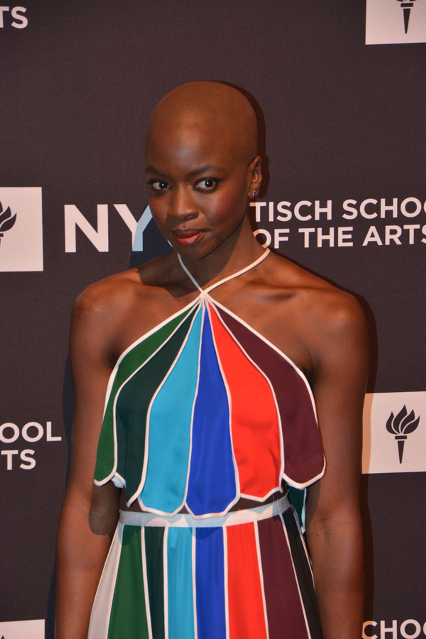 Photo Coverage: WALKING DEAD and MOONLIGHT Stars Honored at 2017 Tisch Gala  Image