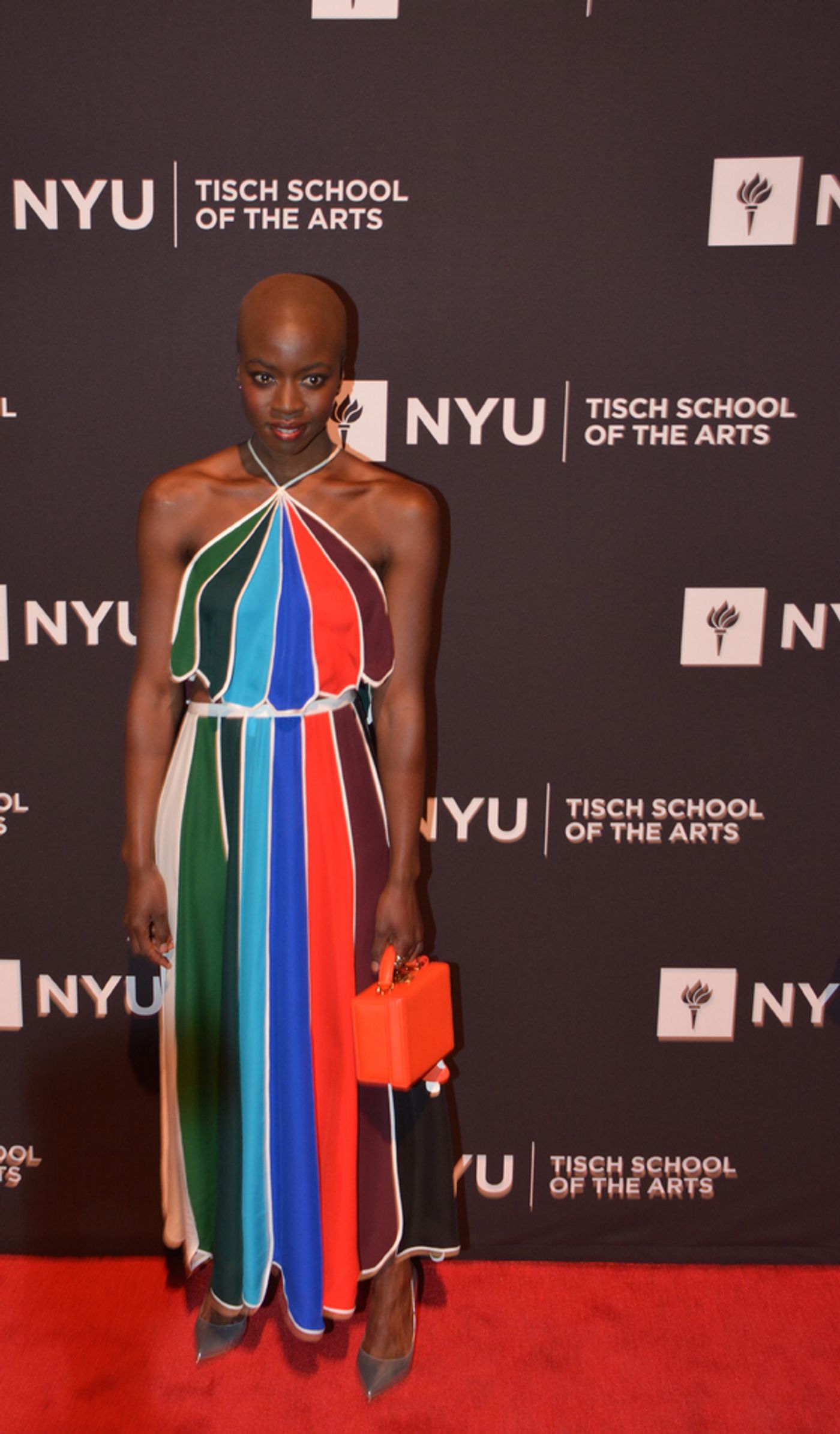 Photo Coverage: WALKING DEAD and MOONLIGHT Stars Honored at 2017 Tisch Gala  Image