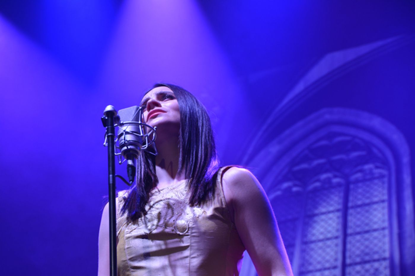 Photo Coverage: CELTIC WOMAN Plays The Tilles Center for the Performing Arts Photo Coverage: CELTIC WOMAN Plays The Tilles Center for the Performing Arts Image