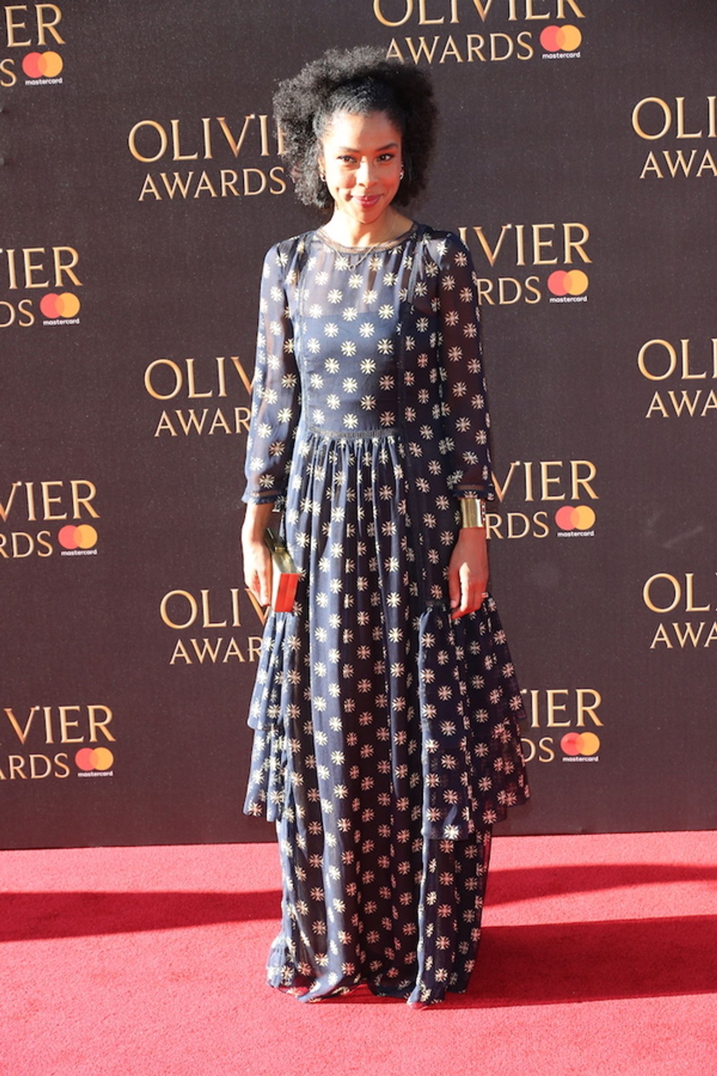 Photo Flash: Amber Riley, Billie Piper & More On 2017 Olivier Awards Red Carpet  Image