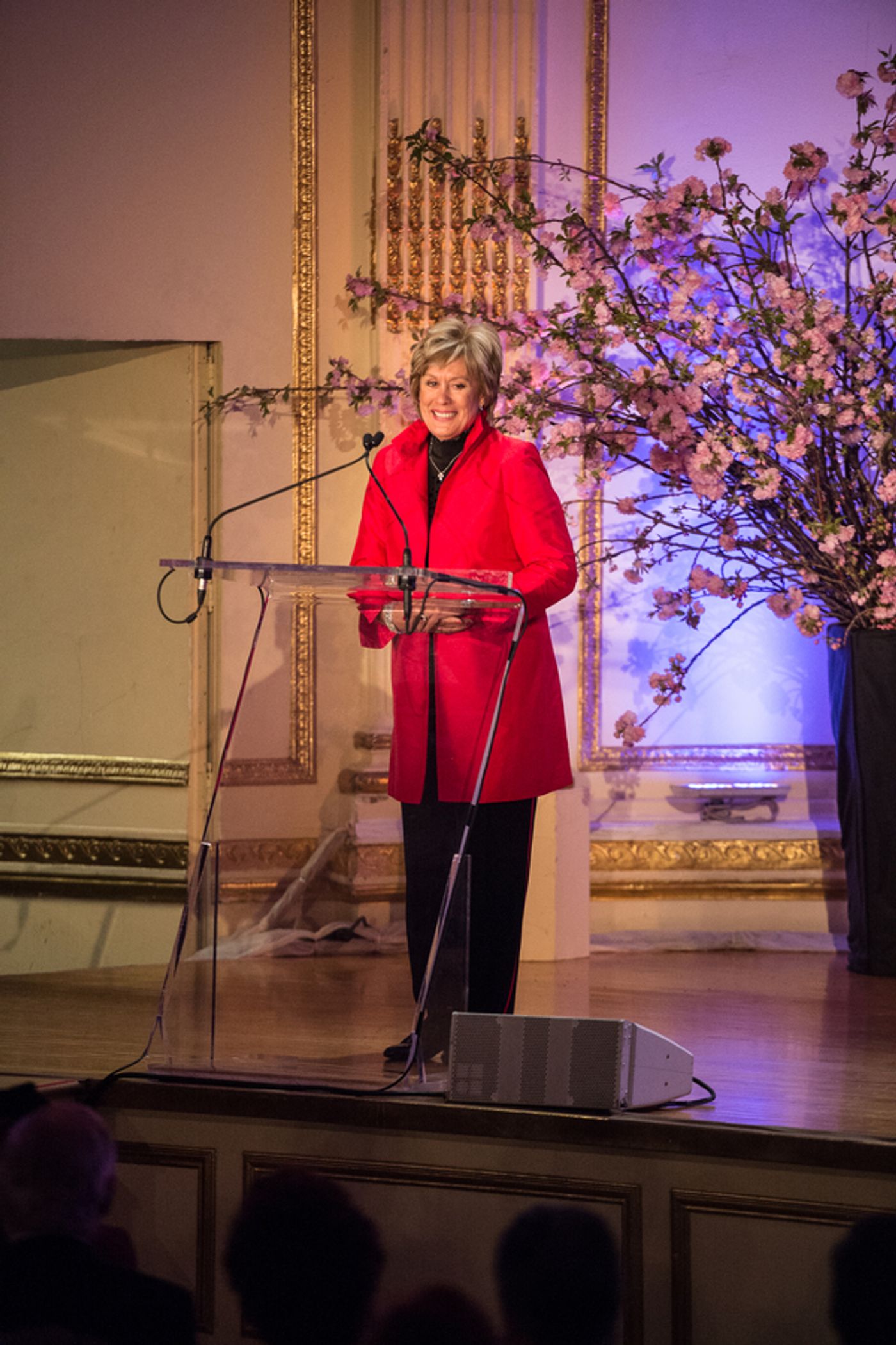 Photo Flash: First Look at Renee Fleming, Kelli O'Hara and More at the 2017 OPERA NEWS Awards  Image