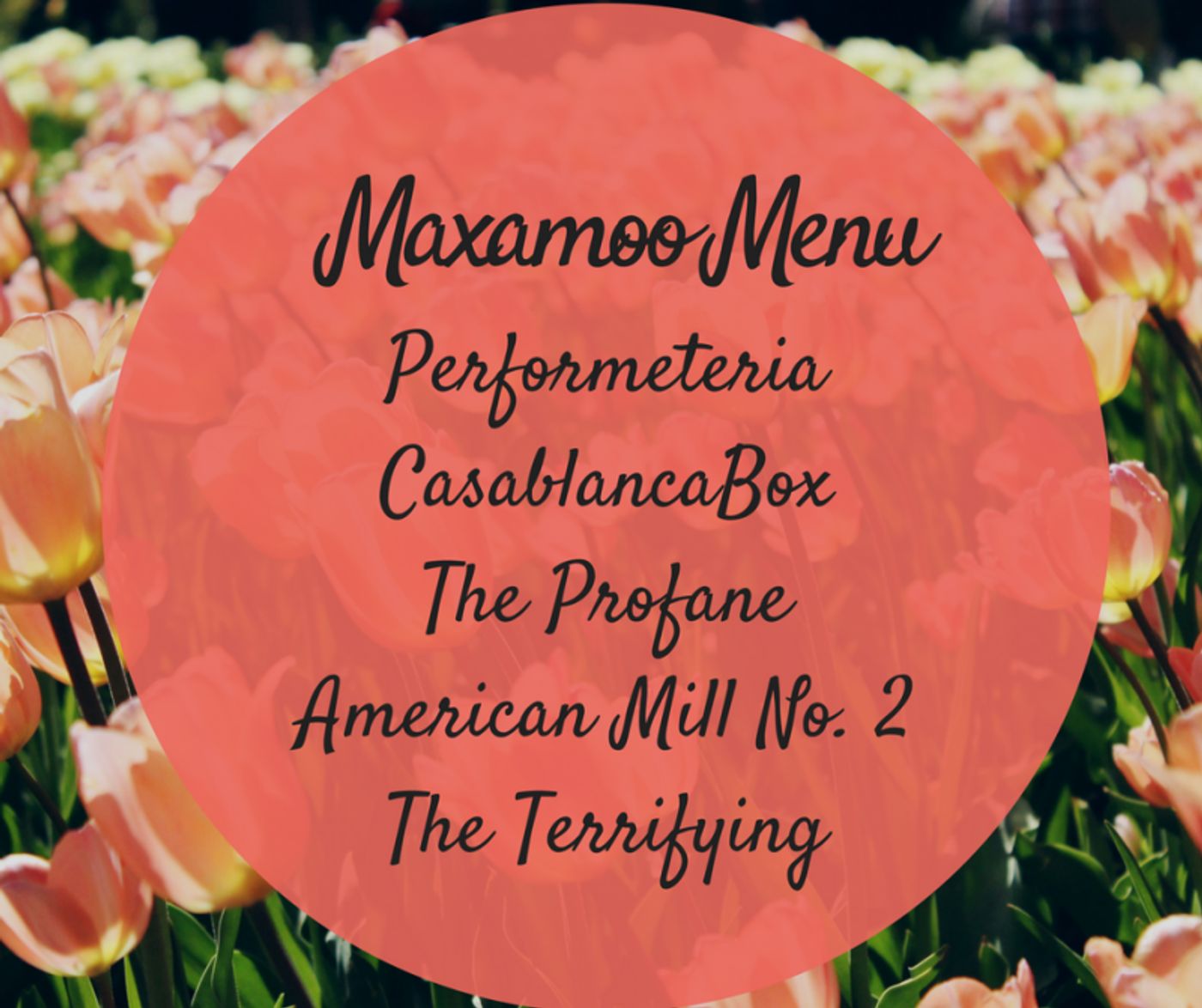 The Maxamoo Podcast Reviews PERFORMETERIA, CASABLANCABOX, THE PROFANE, and More  Image