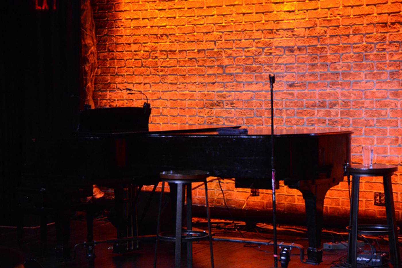 Photo Coverage: Sidney J. Burgoyne Performs at The Iridium  Image