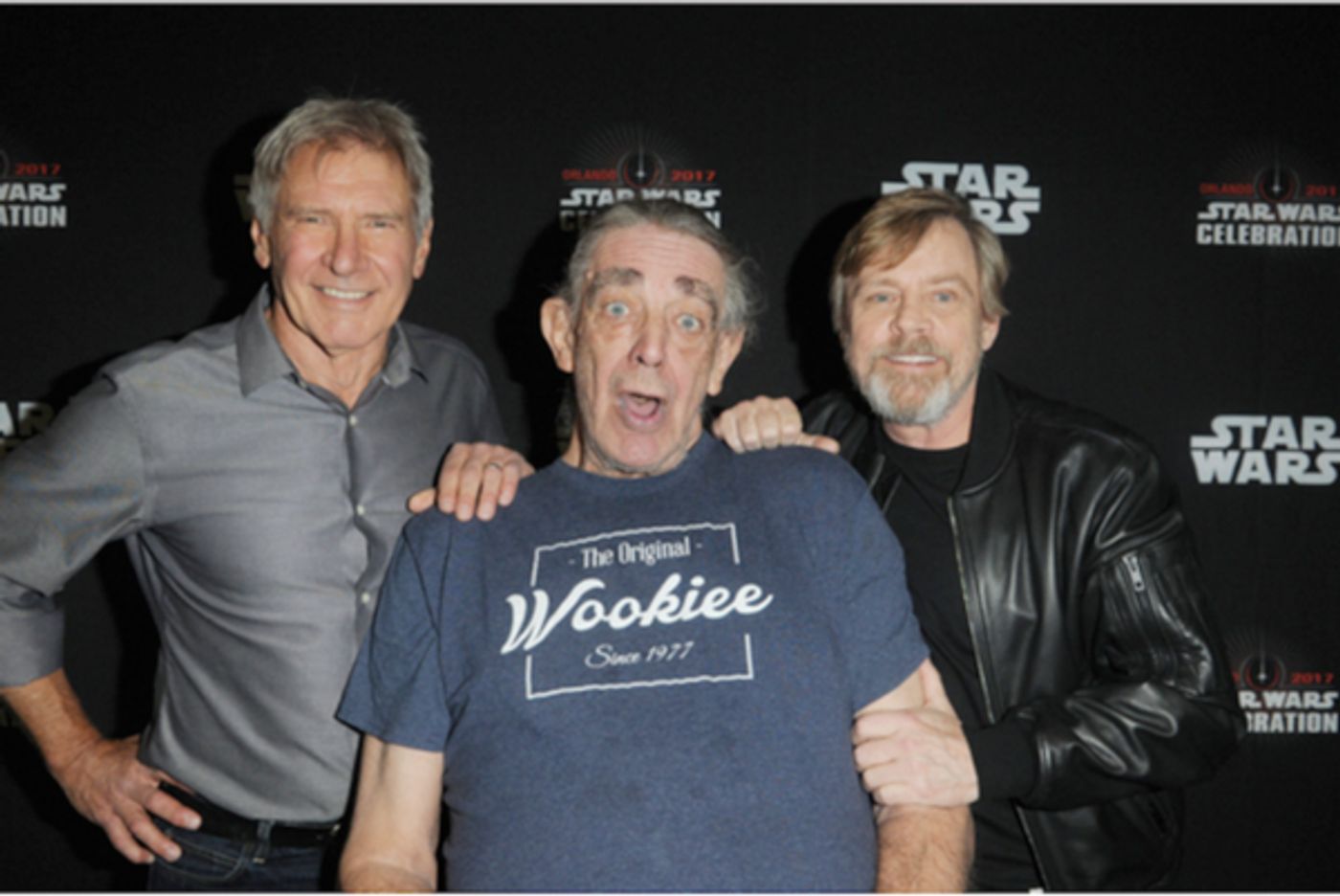 Photo Flash: Mark Hamill, Harrison Ford & More Celebrate STAR WARS' 40th Anniversary Photo Flash: Mark Hamill, Harrison Ford & More Celebrate STAR WARS' 40th Anniversary Image