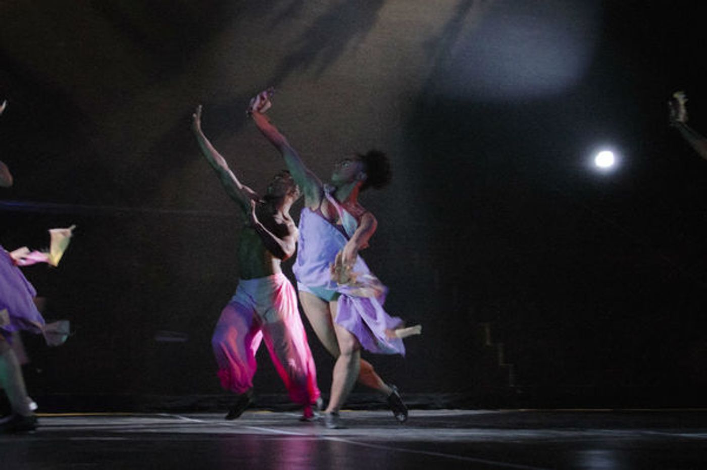 Photo Flash: First Look at Virginia Stage and NSU Theatre's THE WIZ  Image