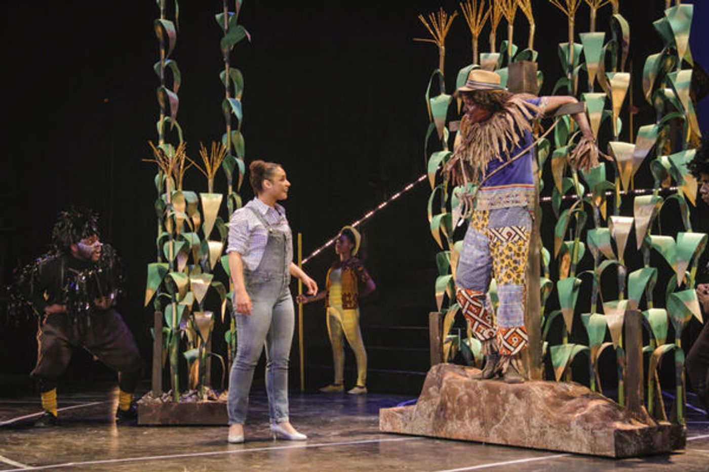 Photo Flash: First Look at Virginia Stage and NSU Theatre's THE WIZ  Image