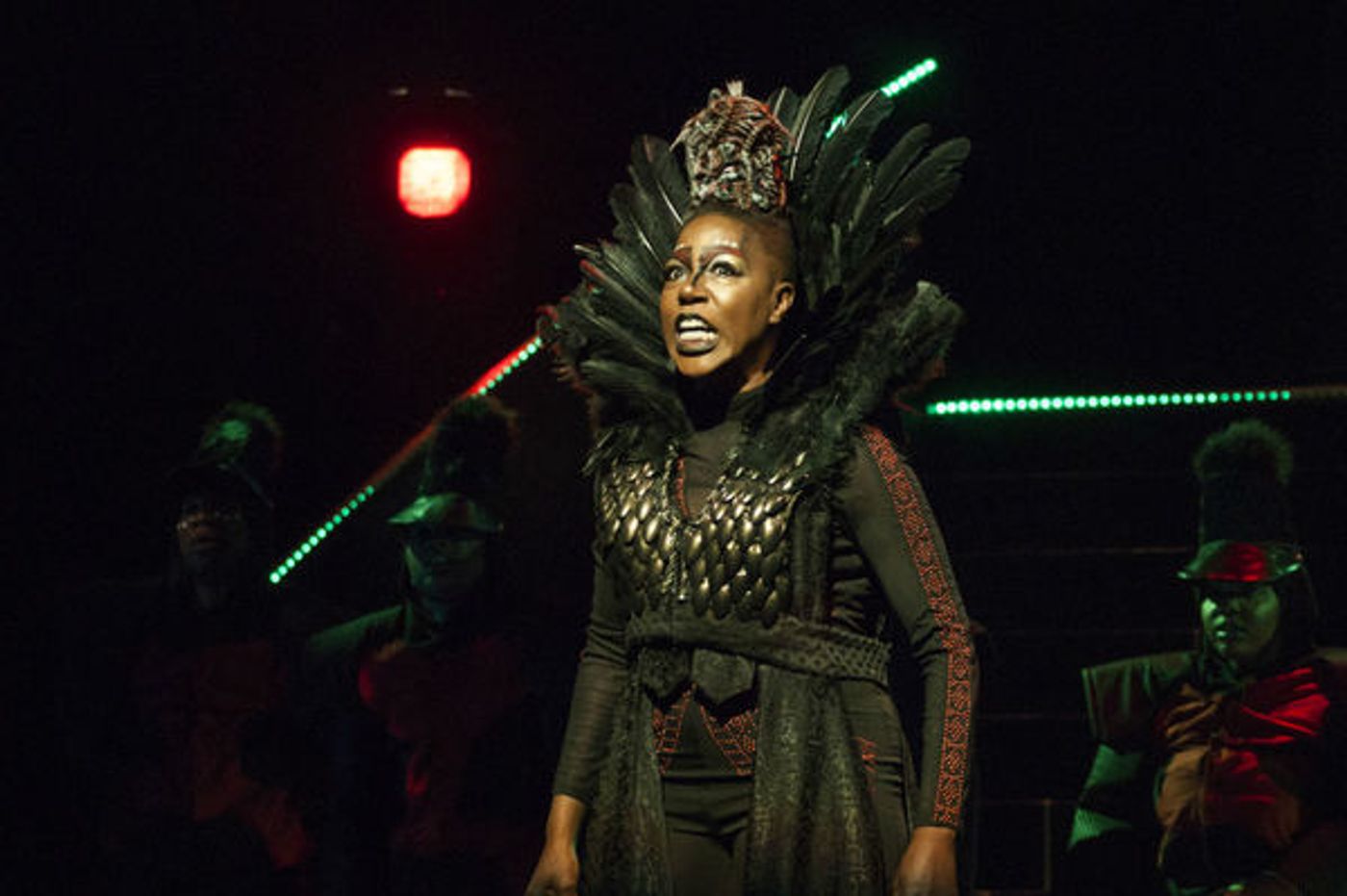Photo Flash: First Look at Virginia Stage and NSU Theatre's THE WIZ  Image