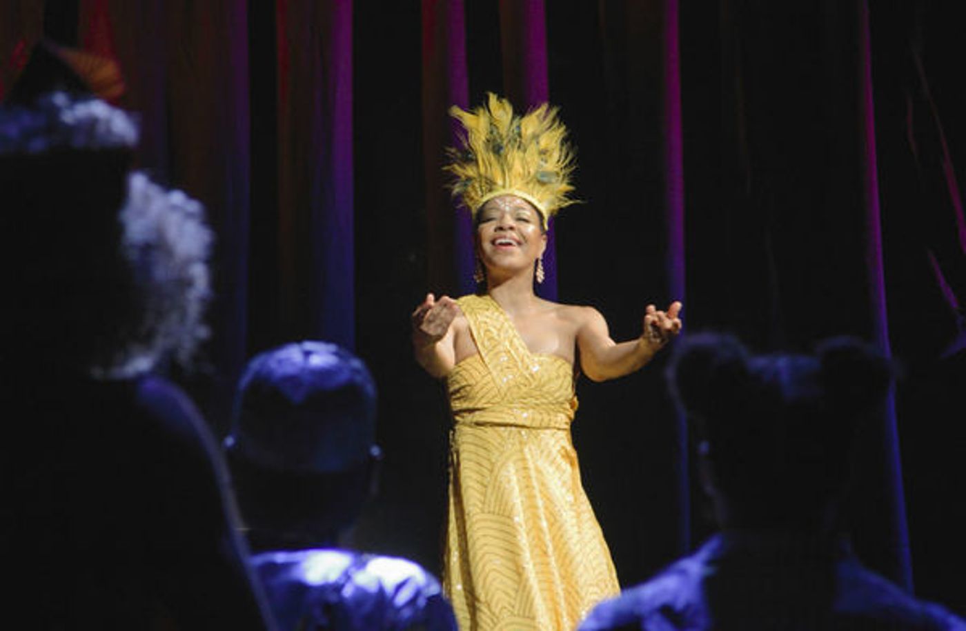 Photo Flash: First Look at Virginia Stage and NSU Theatre's THE WIZ  Image