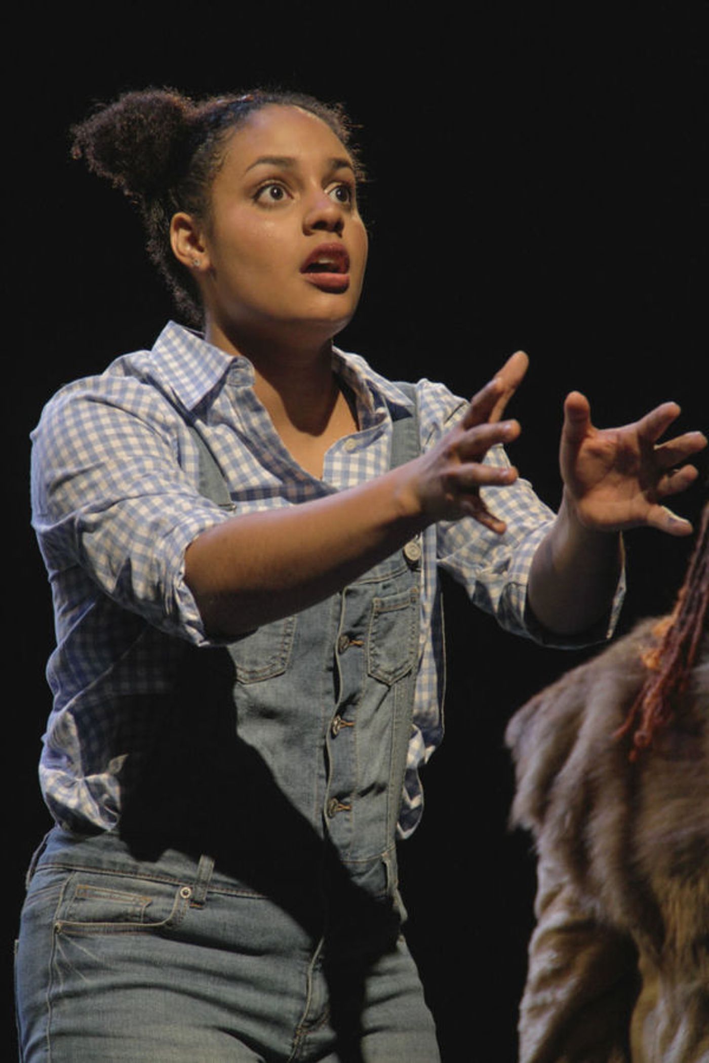 Photo Flash: First Look at Virginia Stage and NSU Theatre's THE WIZ  Image