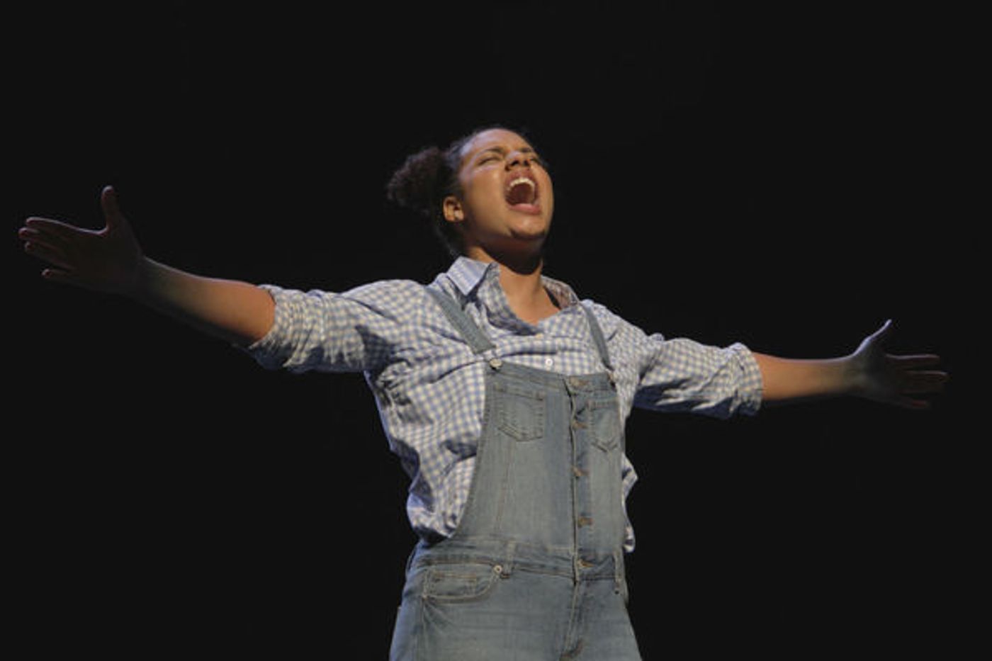 Photo Flash: First Look at Virginia Stage and NSU Theatre's THE WIZ  Image