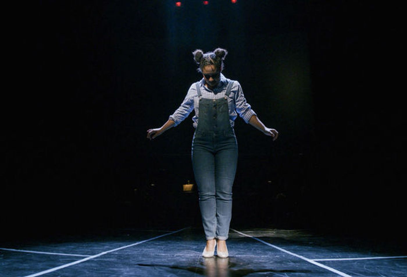 Photo Flash: First Look at Virginia Stage and NSU Theatre's THE WIZ  Image