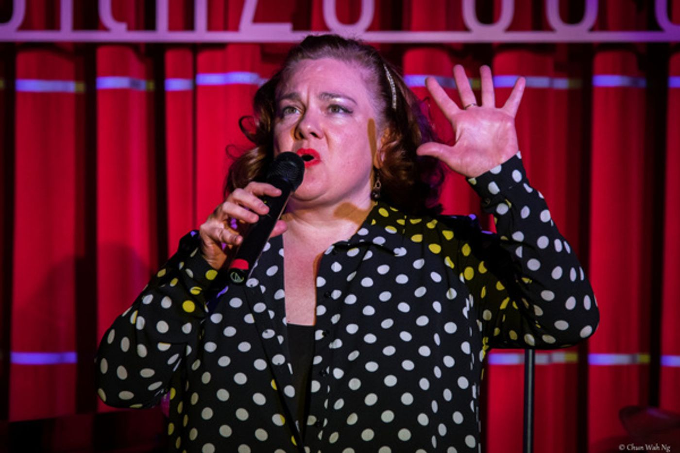 Photo Flash: Harold Sanditen's OPEN MIC PARTY Hosts 4th Birthday Bash at Live at Zedel Photo Flash: Harold Sanditen's OPEN MIC PARTY Hosts 4th Birthday Bash at Live at Zedel Image