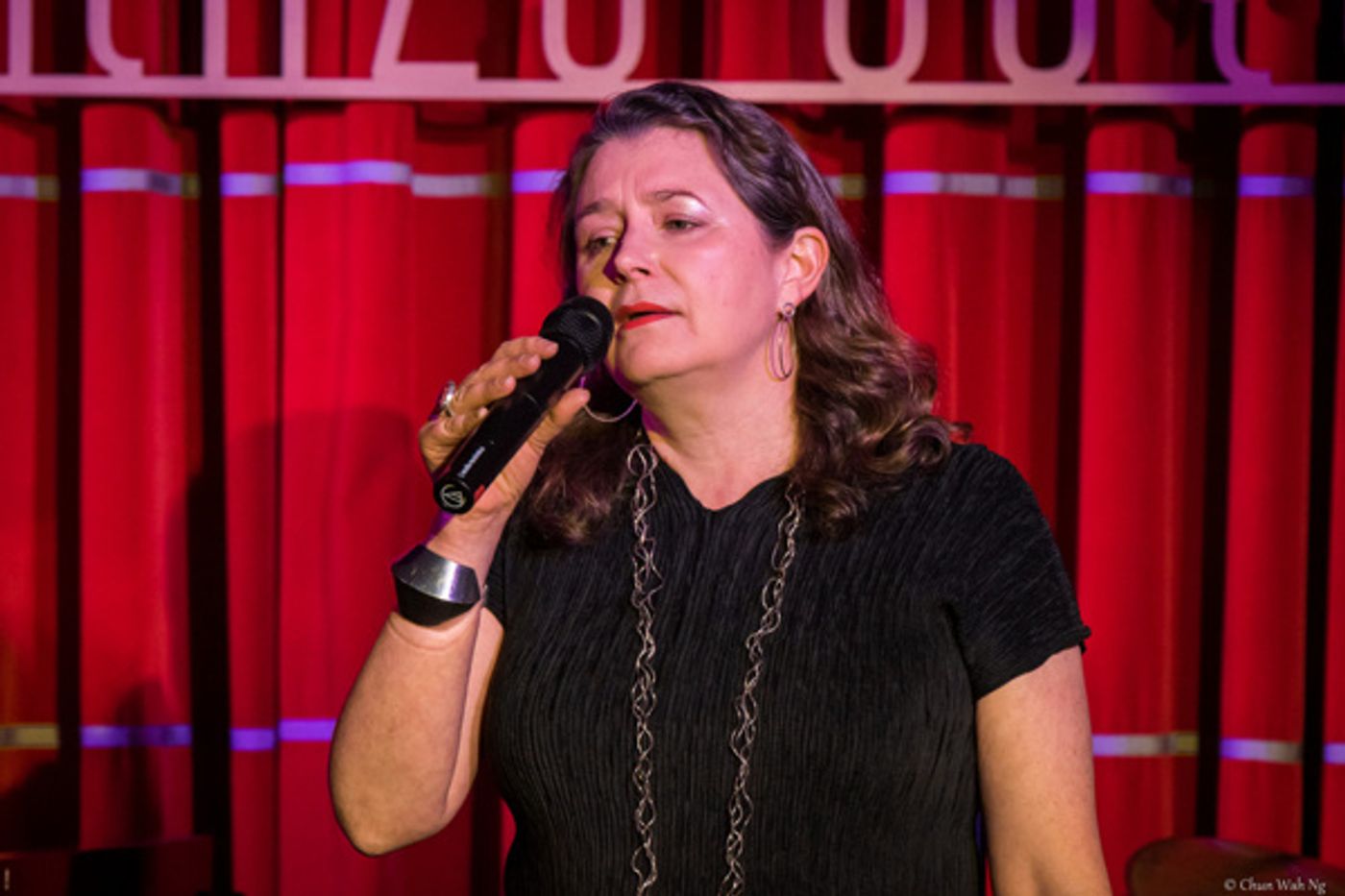 Photo Flash: Harold Sanditen's OPEN MIC PARTY Hosts 4th Birthday Bash at Live at Zedel Photo Flash: Harold Sanditen's OPEN MIC PARTY Hosts 4th Birthday Bash at Live at Zedel Image