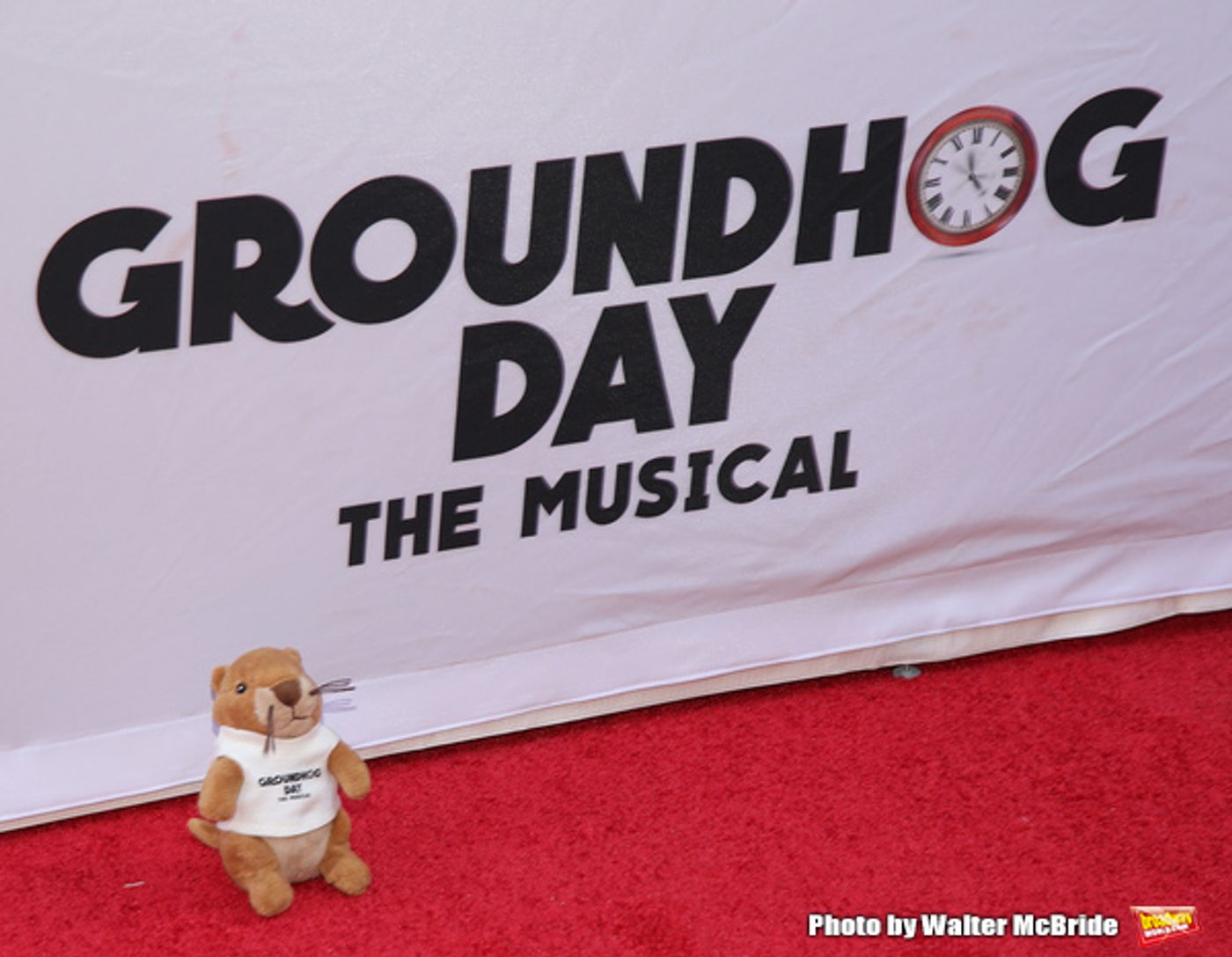 Photo Coverage: On the Opening Night Red Carpet for GROUNDHOG DAY!  Image