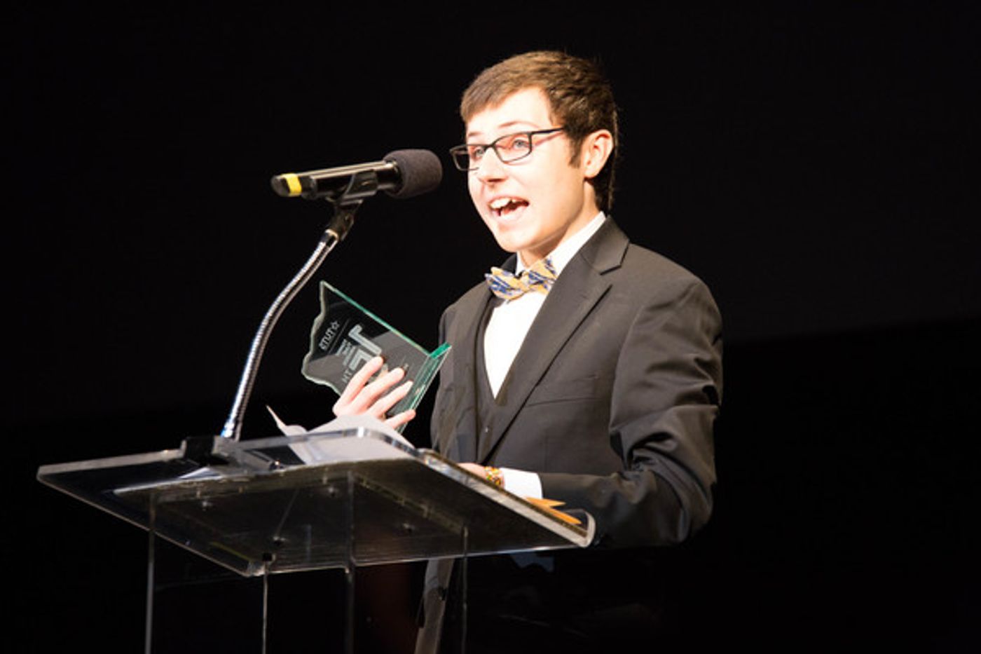 Photo Flash: THE BOY FRIEND, LES MISERABLES, SWEENEY TODD and More Win Big at 2017 Tommy Tune Awards  Image