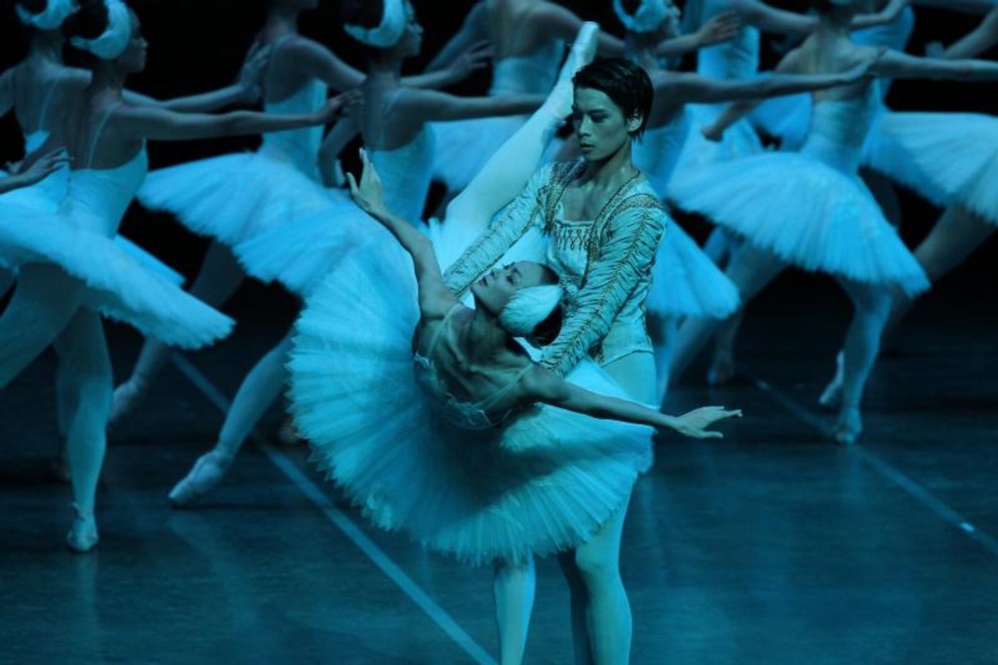 Review: Shanghai Ballet Brings SWAN LAKE Back to Melbourne at Regent Theatre  Image