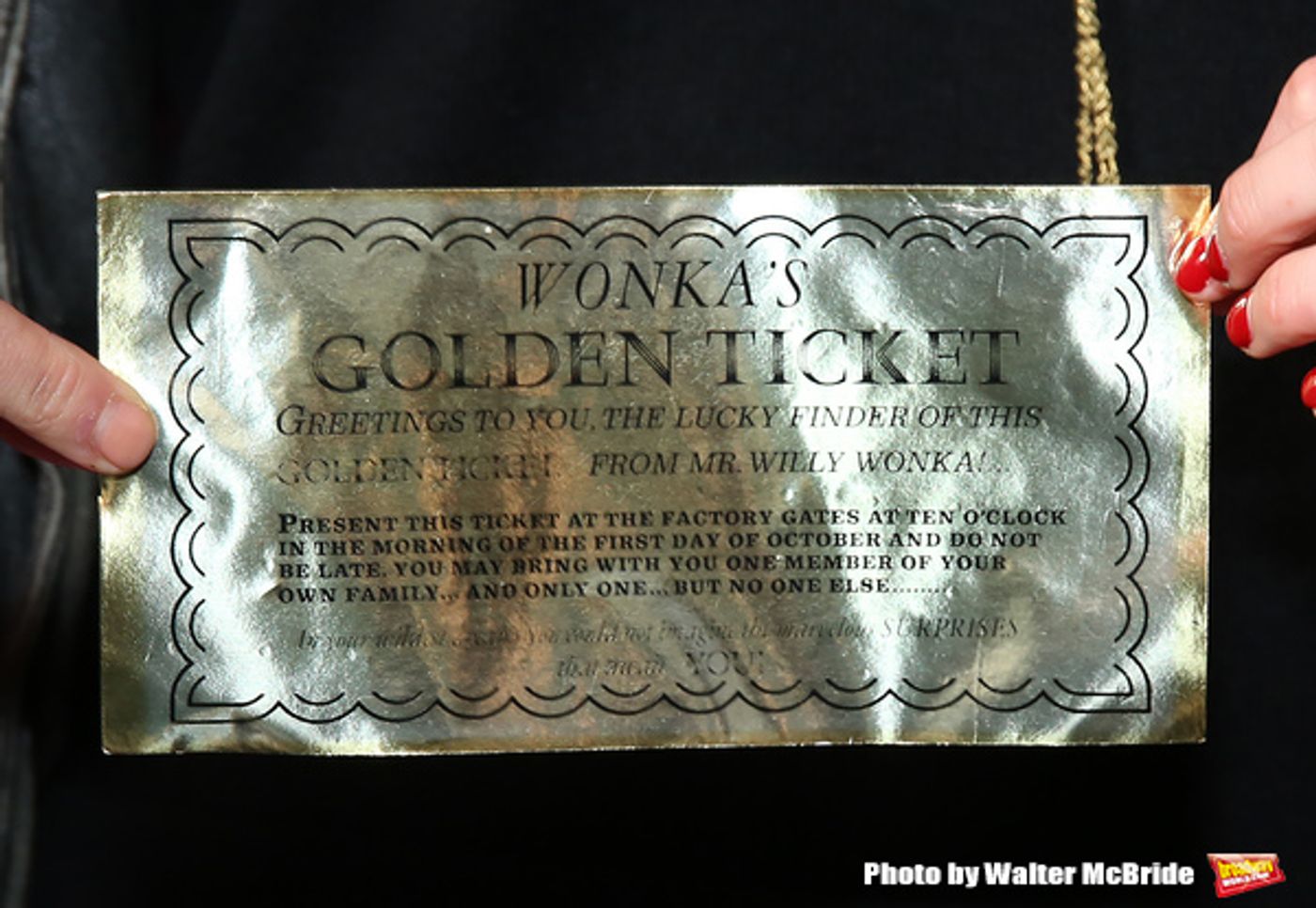 Photo Coverage: On the Purple Carpet for Opening Night of CHARLIE AND THE CHOCOLATE FACTORY  Image